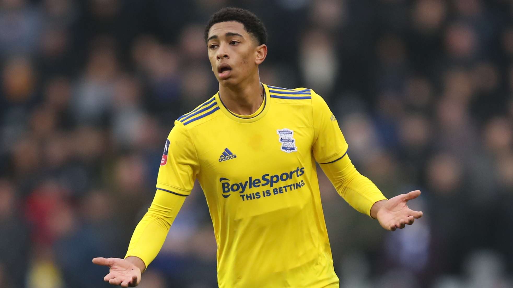 越来越多的 越来越多的