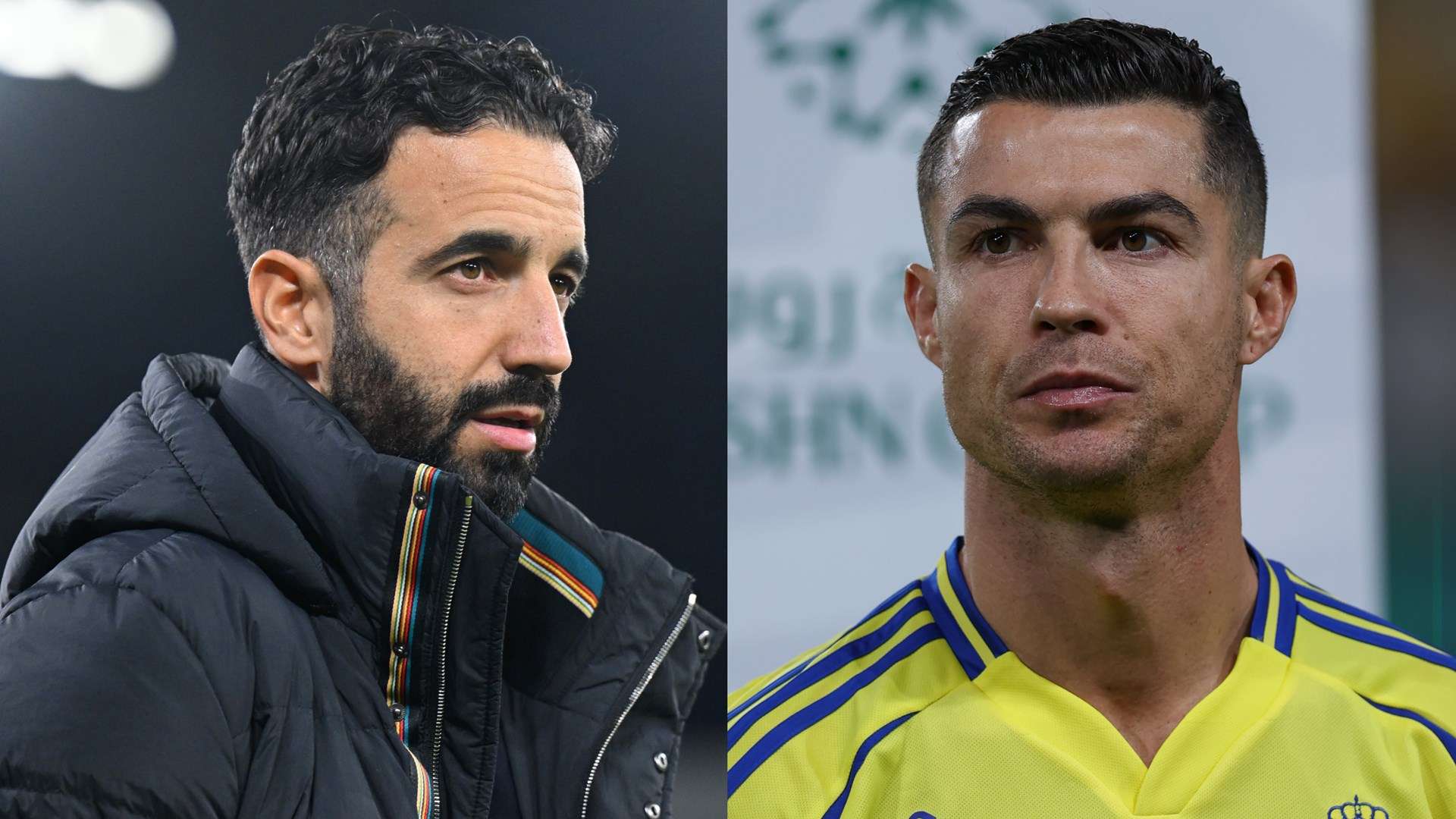 大胆尝试新 大胆尝试新