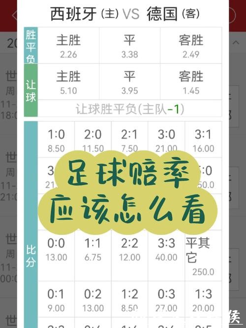 世界杯竞猜平台：揭秘赔率隐藏的奥秘